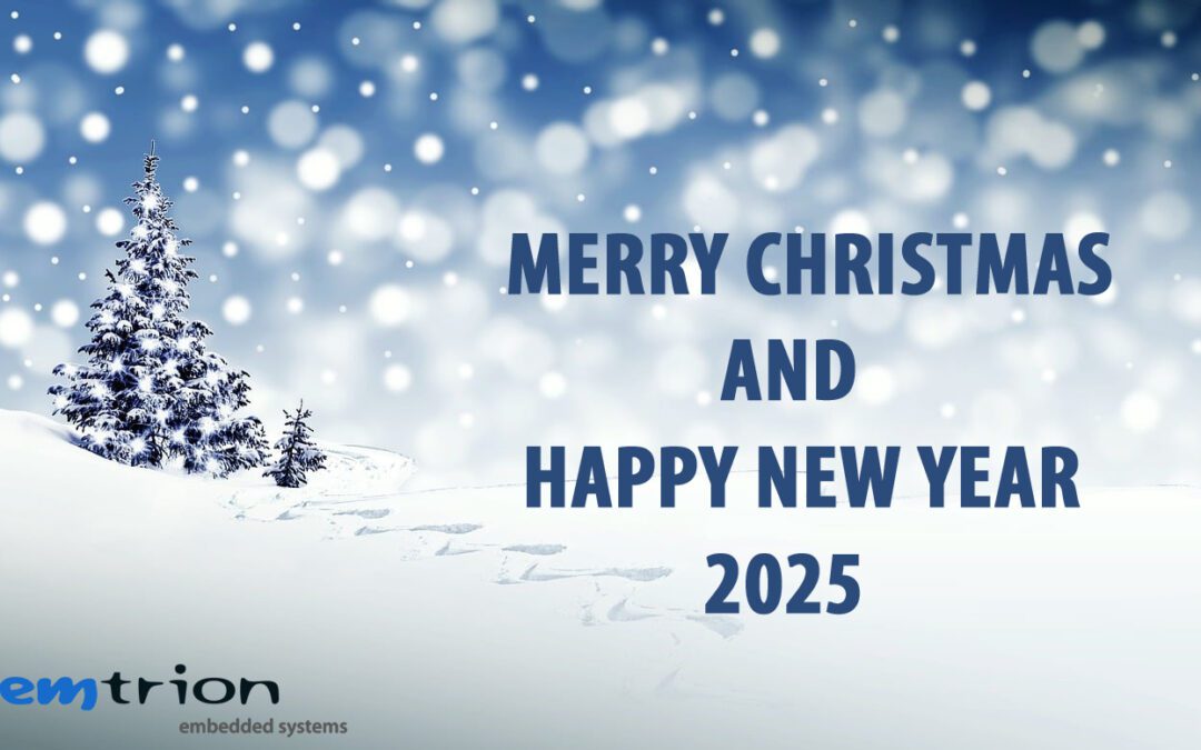 Merry Christmas and Happy New Year 2025!