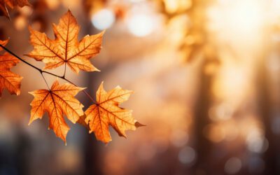 Autumn Kick-Off at emtrion – Ready for New Challenges!